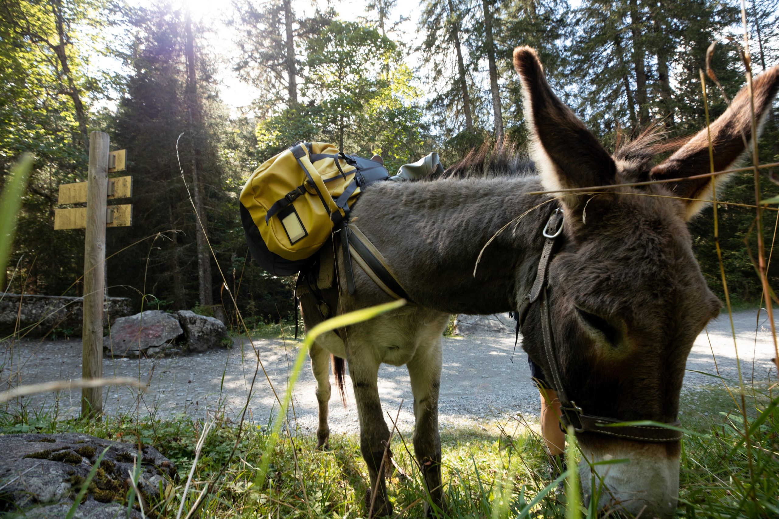 Simond 500 Extend 80-120 L Duffel Bag - Image 27